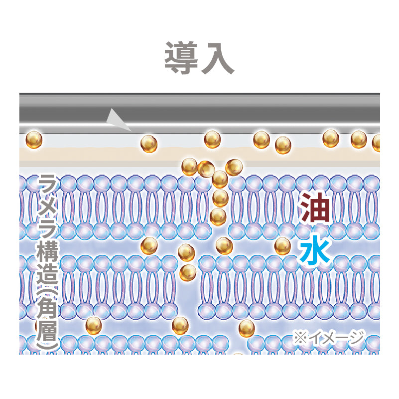 マルチショットプロ（マットコートブラック）