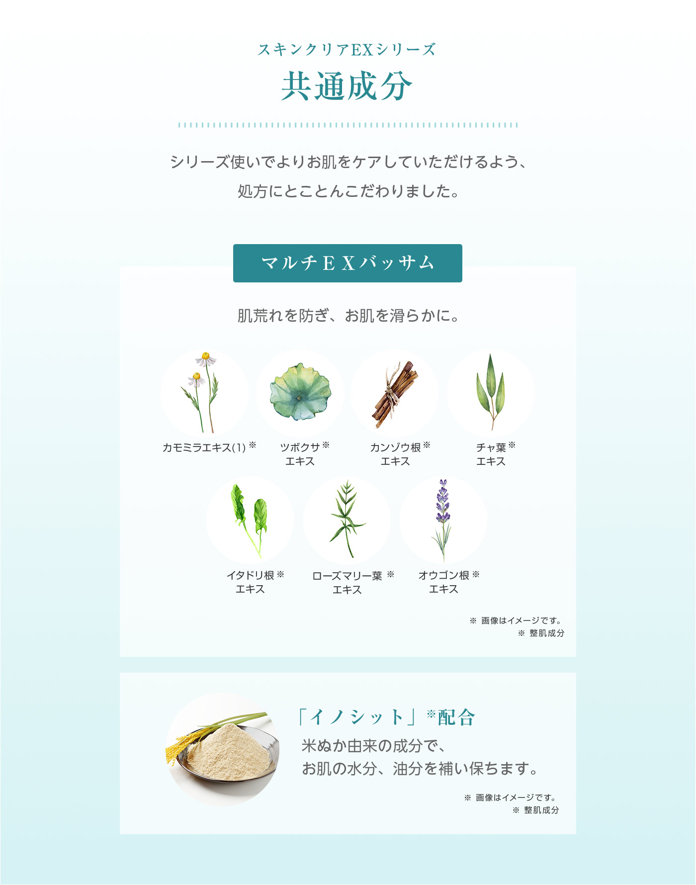 薬用スキンクリアローションEX (化粧水)